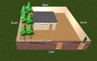 vastu trees around the house