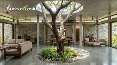Trees Vastu