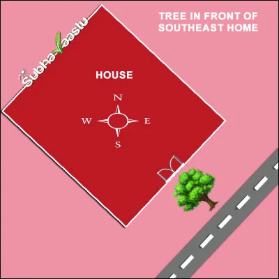 Is It Inauspicious to Have a Big Tree Near a Southeast Entrance?