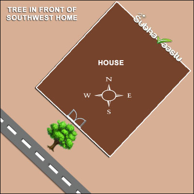 Vastu Impact of Trees in Front of Southwest Entrances