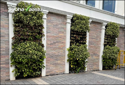Vertical wall garden with decorative plants in an urban building entrance