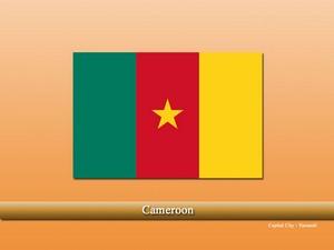 Vastu specialist in Cameroon