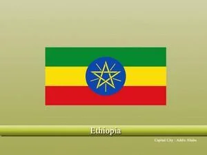 Vastu specialist in Ethiopia