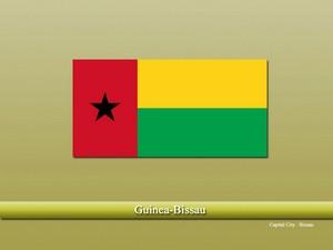 Vastu specialist in Guinea-Bissau