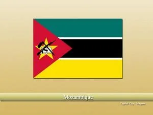 Vastu specialist in Mozambique