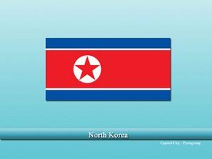 vastu pandit in North Korea