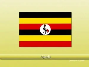 Vastu specialist in Uganda