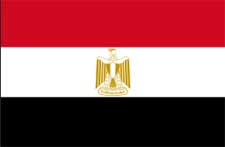 Vastu consultant in Egypt