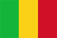 Vastu consultant in Mali