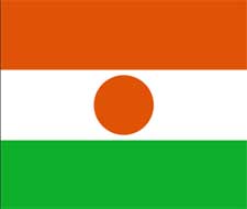 Vastu consultant in Niger