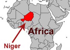 Vastu expert in Niger