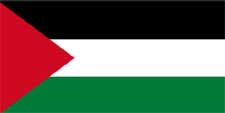 Vastu consultant in Palestine