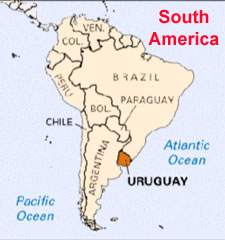 Vastu Expert in Uruguay