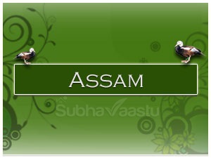 Vastu Consultant in Guwahati