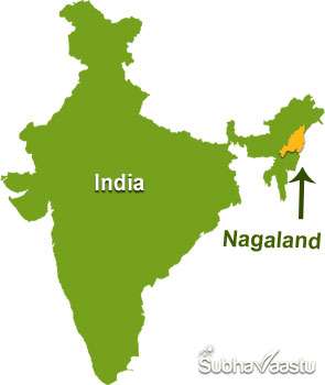 Vastu Consultant in nagaland