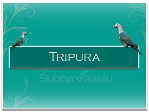 Vastu Expert in Tripura