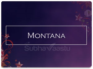 Vastu specialist in Montana