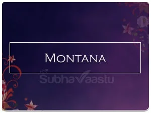 Vastu specialist in Montana