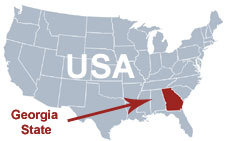 Vastu expert in Georgia