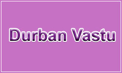 Famous vastu consultant in South Africa