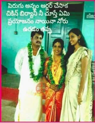 పెరుగు అన్నం మరియు చికెన్ బిర్యానీ జోక్