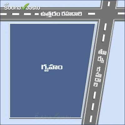 తూర్పు ఈశాన్యం పెరిగిన ఈశాన్య గృహము