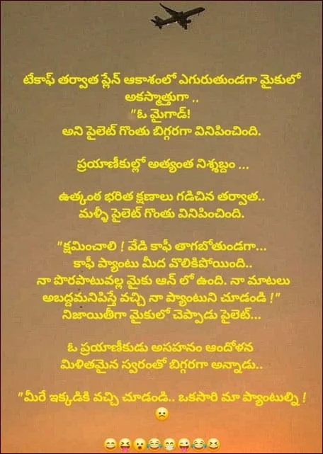 ఫ్లైట్ లో జరిగిన ఒక సంఘటన మహాద్భుతమైన తెలుగు జోక్