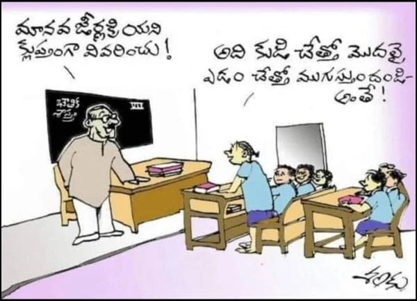 జీవక్రియ జోక్